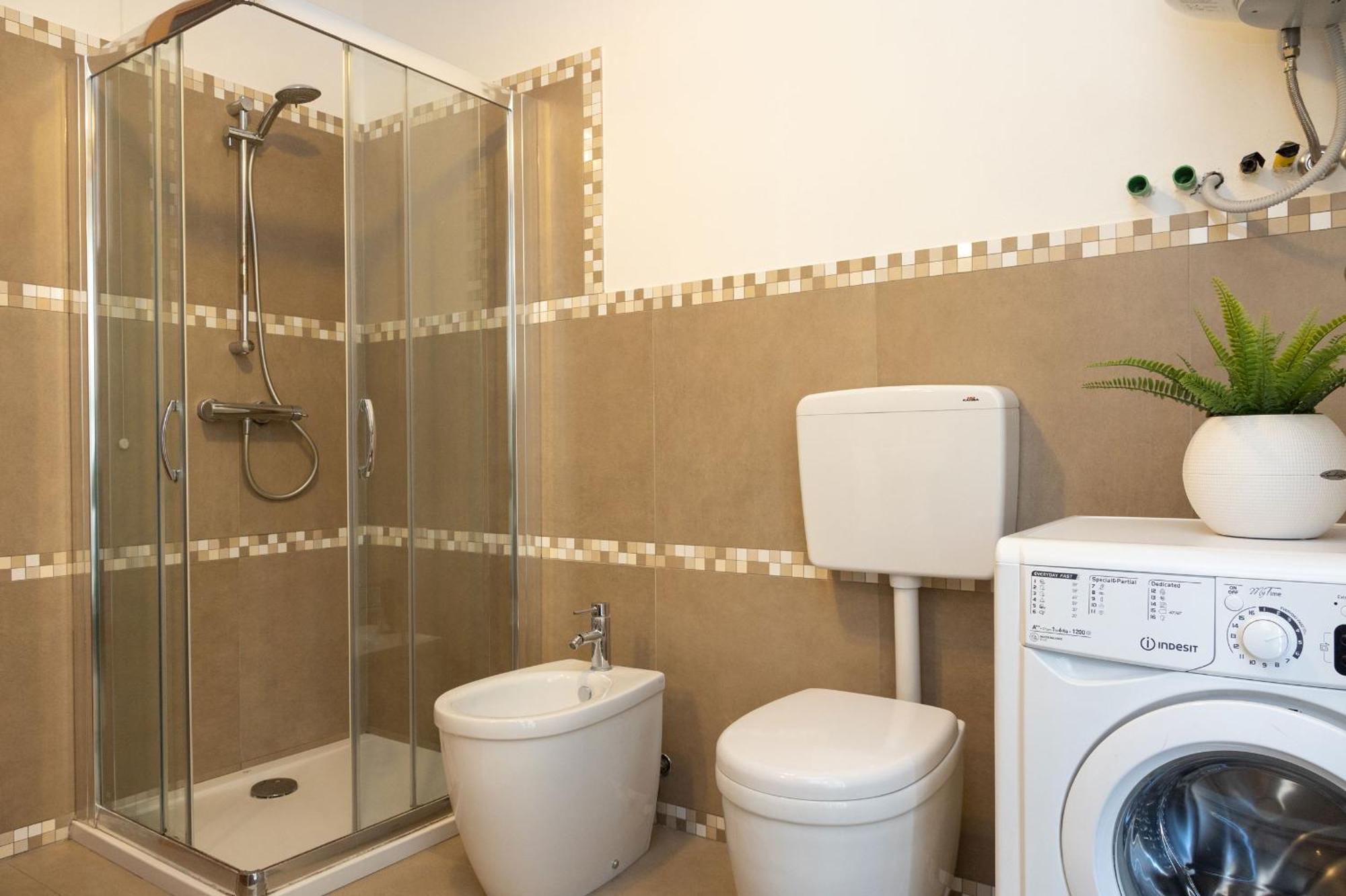 Lizard * Lido di Jesolo